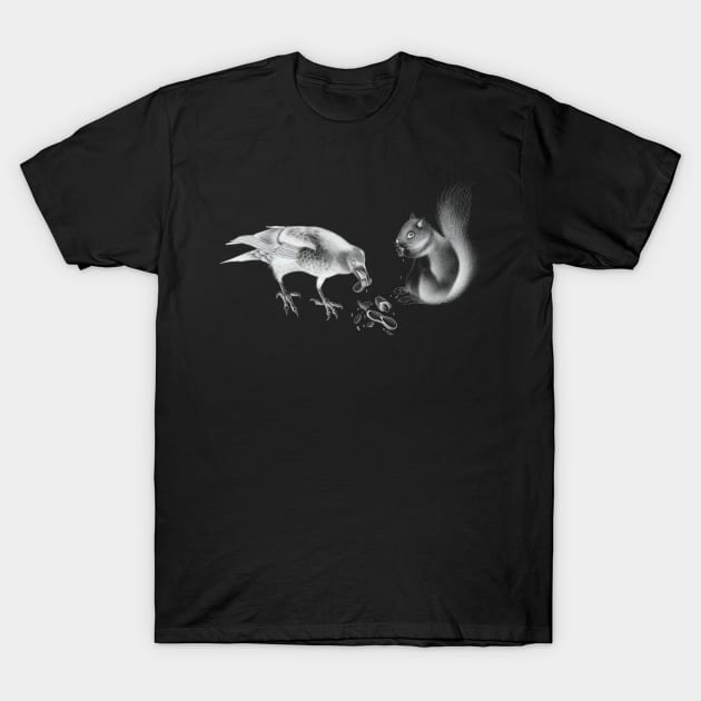 Crow and Squirrel Eating Peanuts T-Shirt by Tred85